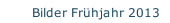 Bilder Frühjahr 2013