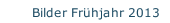 Bilder Frühjahr 2013