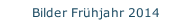 Bilder Frühjahr 2014